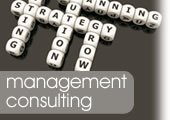 Management Consultants